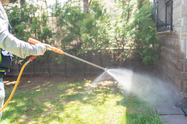 Professional Pest control in Csar Chvez, TX